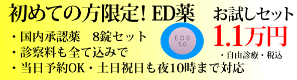 EDお試し10000円